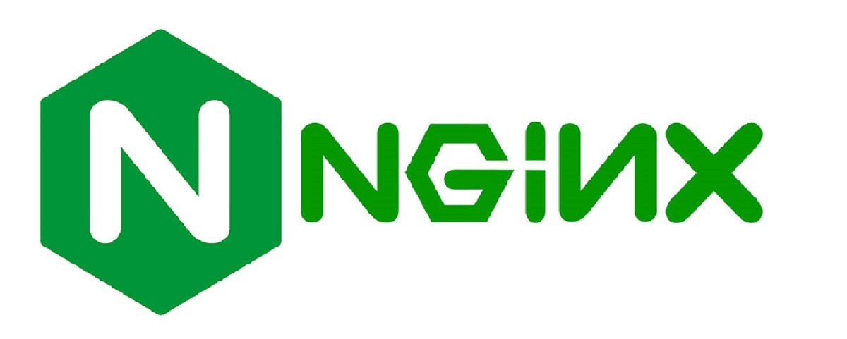 Nginx_logo
